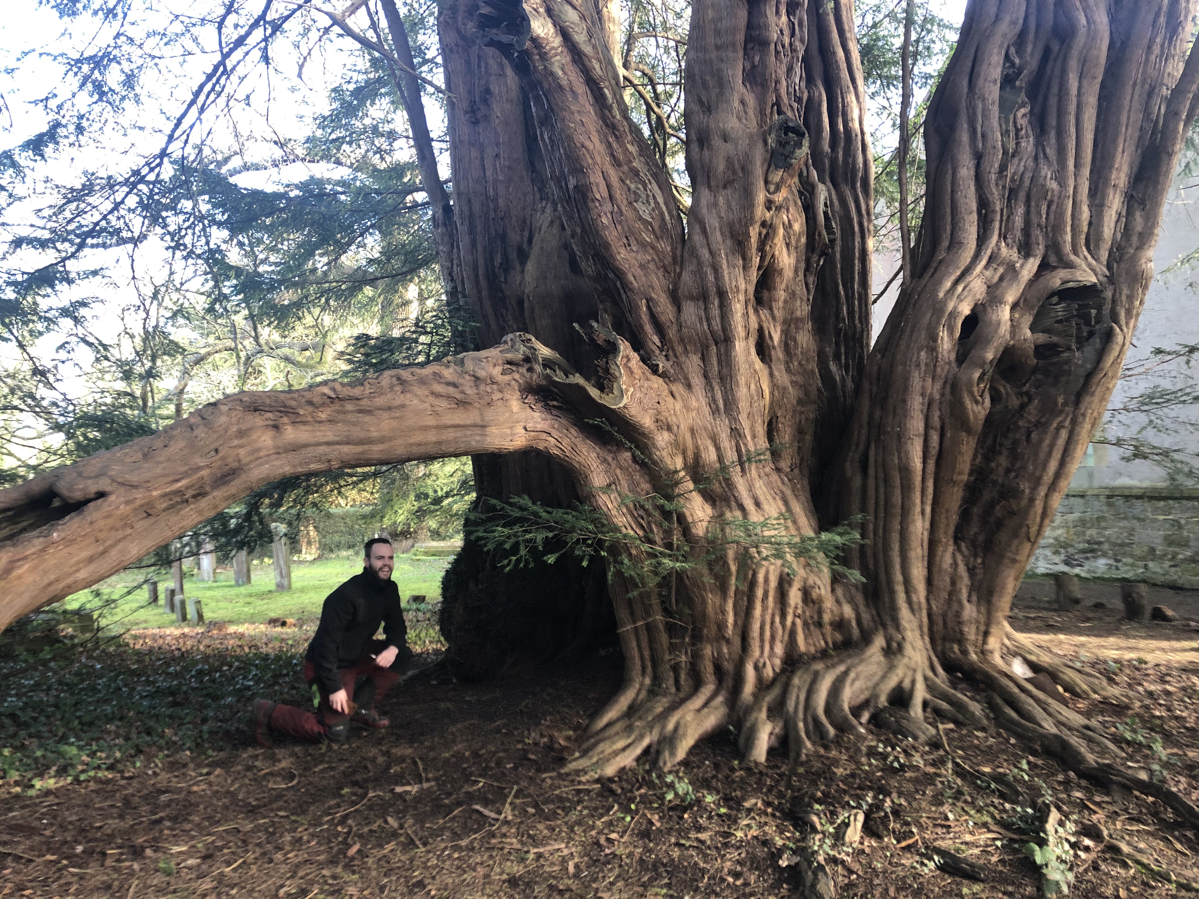 Marcus Vance, Certified Arborist